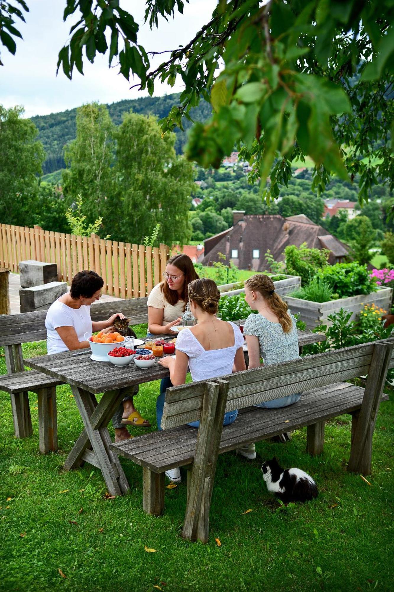 Kleinhofers Himbeernest Acomodação com café da manhã Anger  Exterior foto